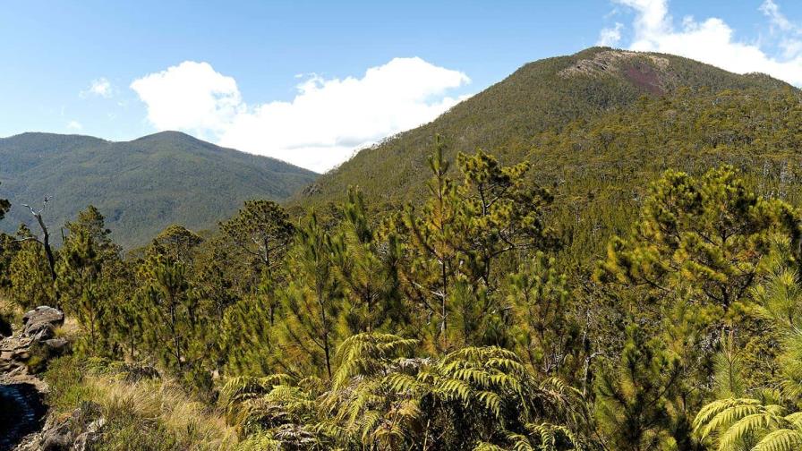 Este miércoles se conmemora Día Internacional de las Montañas