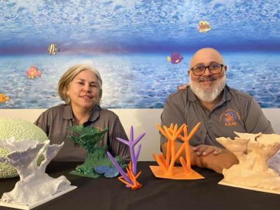 Puerto Rico pretende exportar corales artificiales en 3D