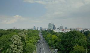 No todos los tipos de árbol ayudan a refrescar las ciudades por la noche