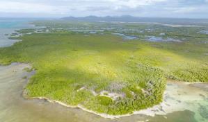 Ecotono: Una frontera natural vital para la conservación de los hábitats en República Dominicana