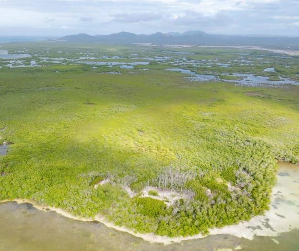 Ecotono: Una frontera natural vital para la conservación de los hábitats en República Dominicana