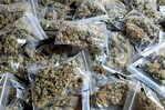 El consumo de marihuana deja de esconderse y aumenta en Rep&uacute;blica Dominicana