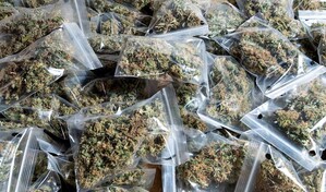 El consumo de marihuana deja de esconderse y aumenta en Rep&uacute;blica Dominicana