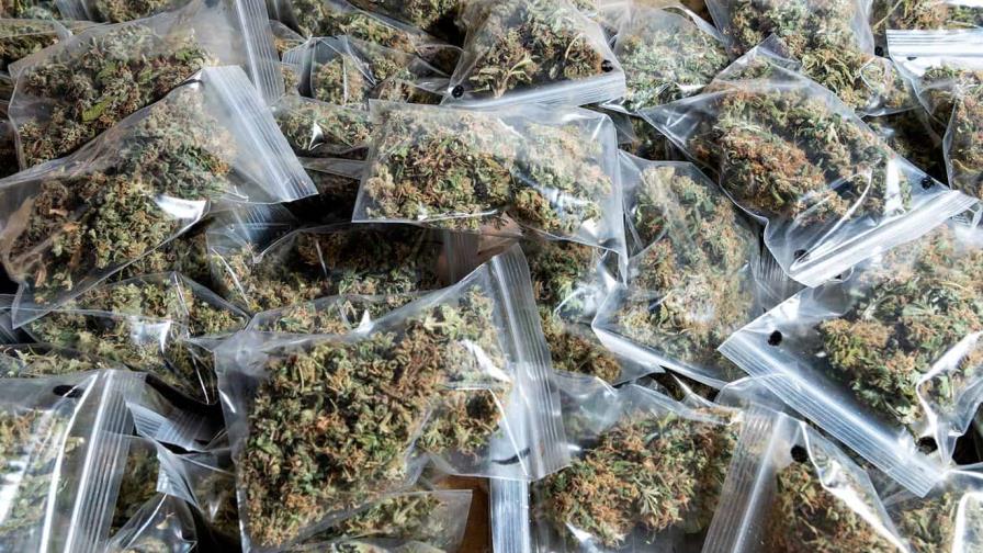 Encuentran 45 toneladas de marihuana en un almacén en California y buscan a su dueño