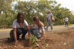 Medio Ambiente y la Alcaldía del DN realizan jornada Ecohéroes para arborizar el Mirador Sur Medio Ambiente y la Alcaldía del DN realizan jornada Ecohéroes para arborizar el Mirador Sur