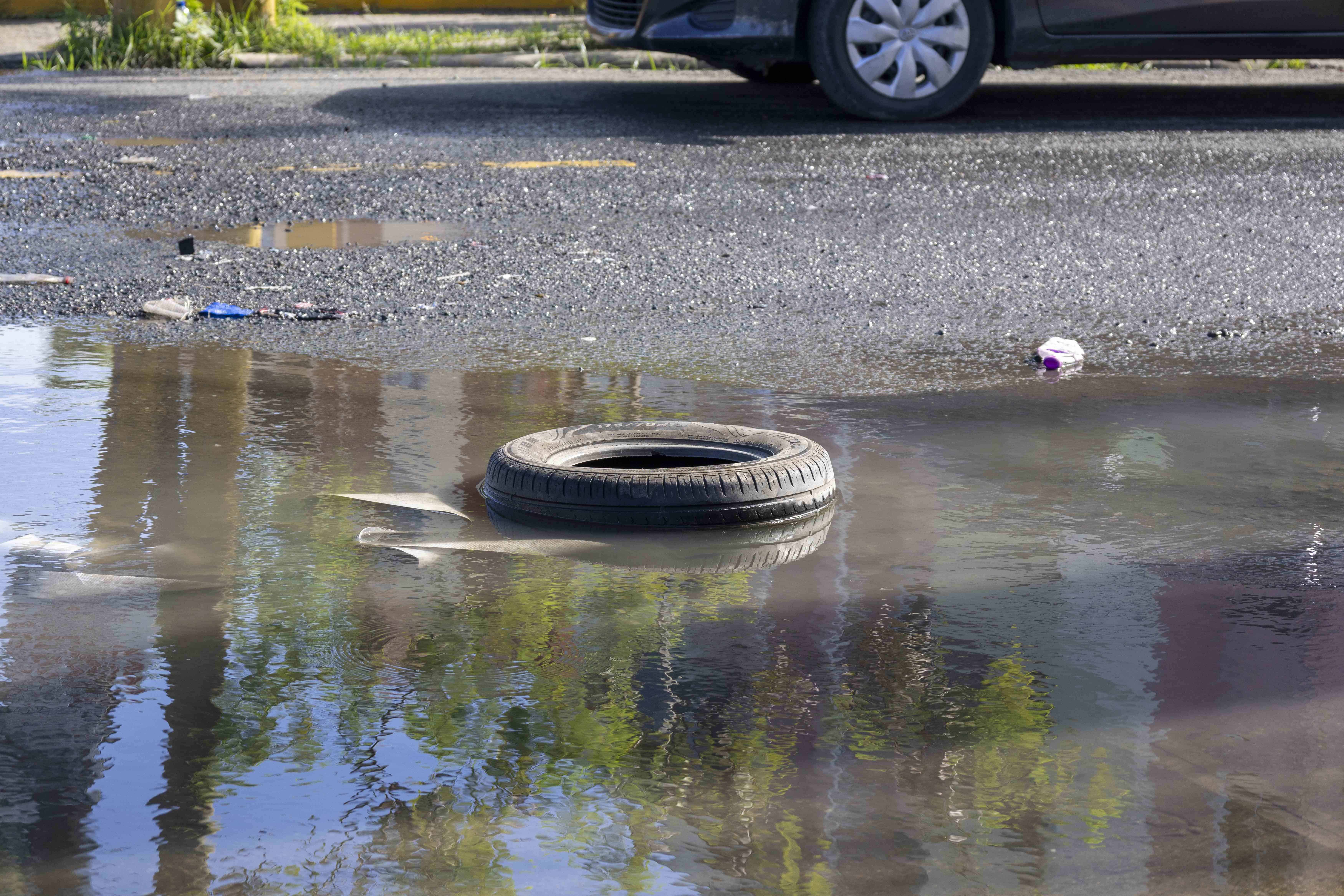 Charco en la Mella con Guayubín Olivo.