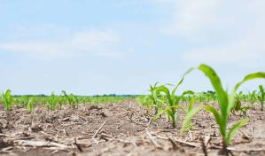 La agricultura insostenible y el consumo excesivo ponen en peligro la naturaleza, advierte la ONU