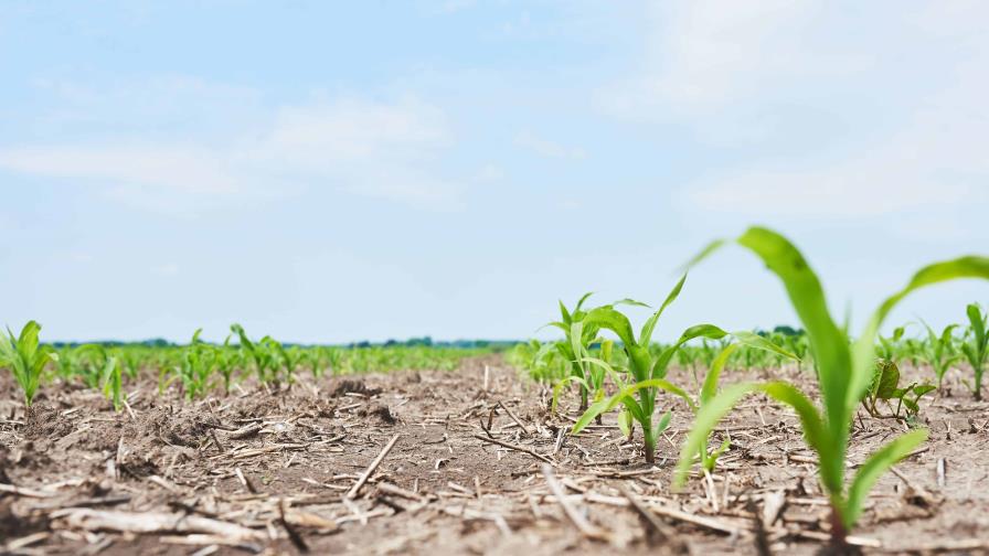 La agricultura insostenible y el consumo excesivo ponen en peligro la naturaleza, advierte la ONU