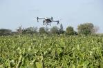 En RD, la agricultura de precisión gana terreno con los drones