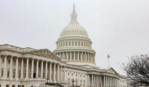 Los demócratas piden volver al pacto original para evitar el cierre de Gobierno de EE.UU.