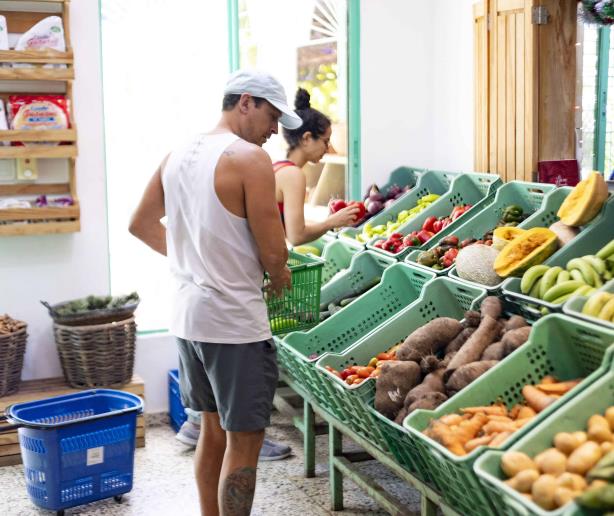 Mercado Orgánico, el negocio que fomenta el consumo de alimentos naturales y sanos