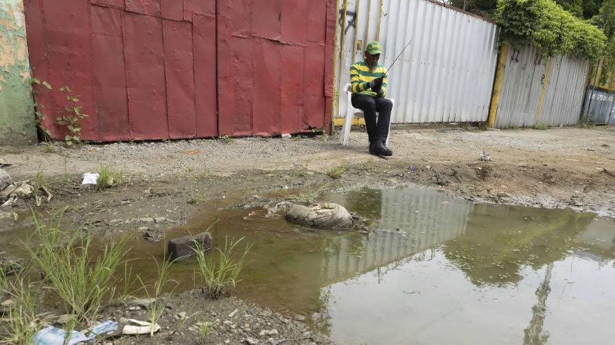 Una acera que se volvió charco con hierbas