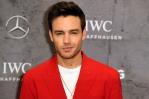 Liam Payne, la dosis letal de la fama en la generación de internet