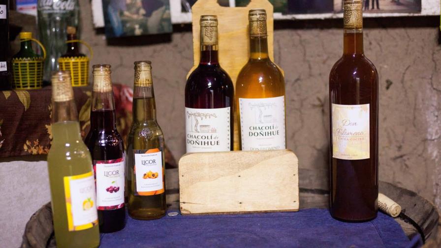 Los últimos productores del txakoli chileno que bregan por mantener vivo un vino olvidado