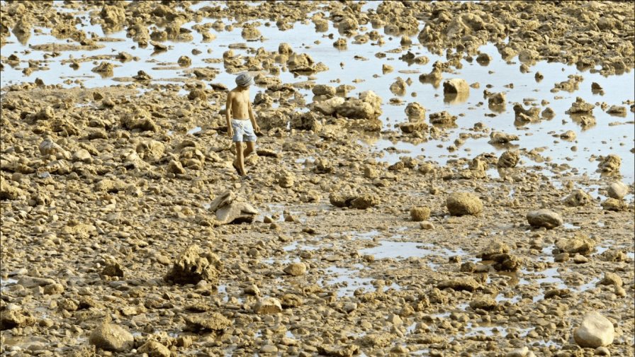 Jefe ONU para reducción de desastres: mejorar la alerta por tsunamis es una labor sin fin