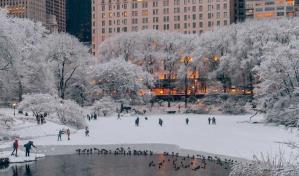 Alerta de tormenta invernal; Nueva York con alta probabilidad de nieve Alerta de tormenta invernal; Nueva York con alta probabilidad de nieve