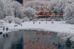 Cae nieve en Nueva York el día de Navidad por primera vez en 15 años
