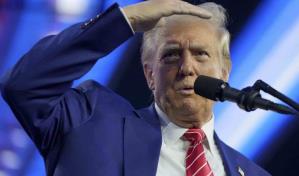 Controversia entre seguidores de Trump sobre visas para profesionales extranjeros