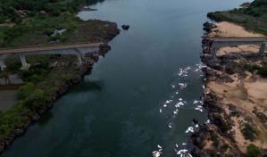 Hallan más cuerpos y sube a ocho cifra de muertos en colapso de puente en Brasil