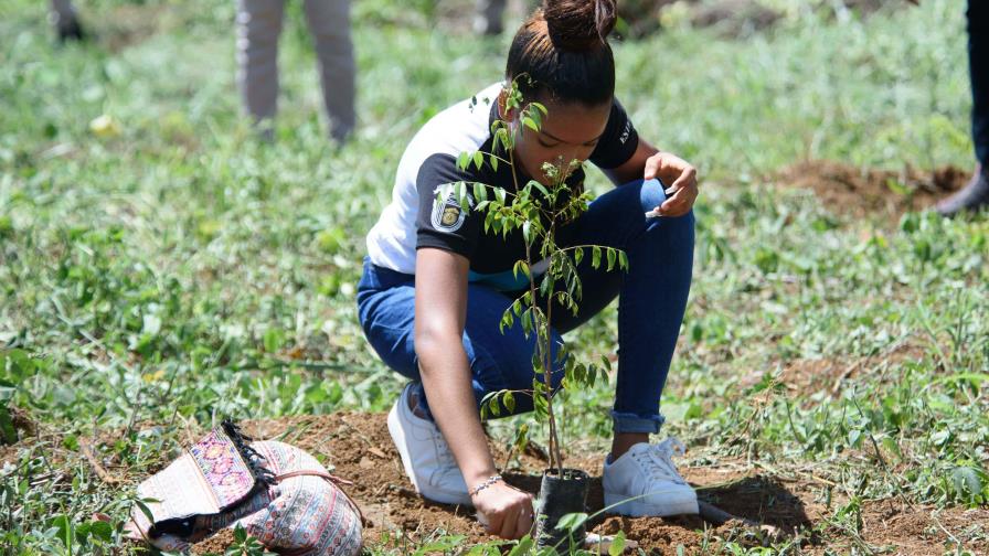 RD registra un aumento del 829 % en superficie reforestada en una década 