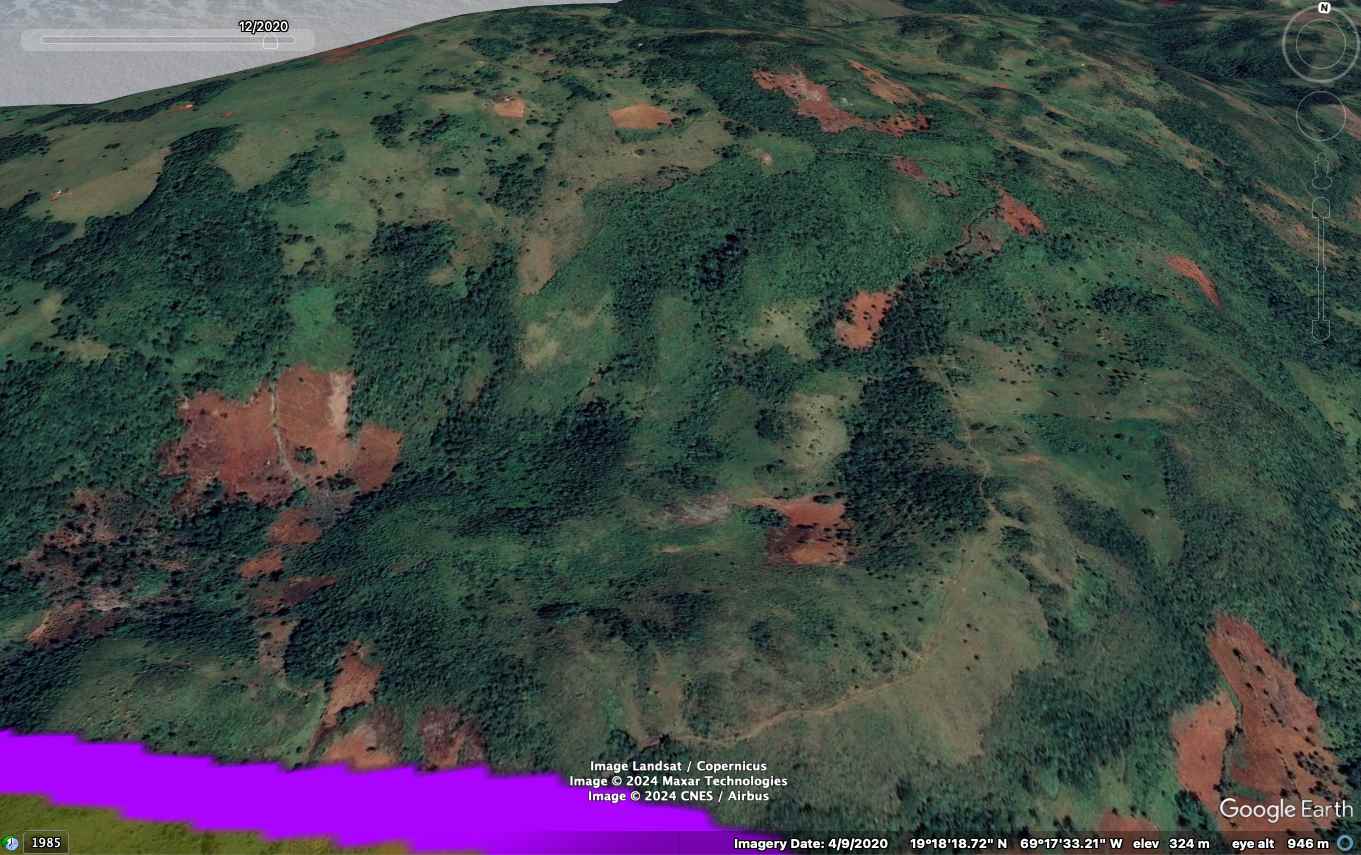 Sección del parque en 2020.