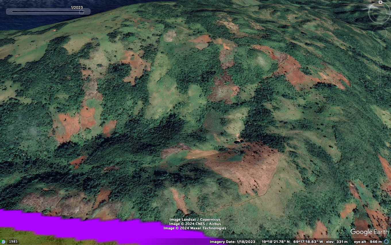 La misma sección del parque en 2023. 