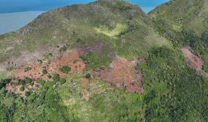 Parque Nacional Cabo Cabrón sucumbe ante la agricultura y ganadería Parque Nacional Cabo Cabrón sucumbe ante la agricultura y ganadería