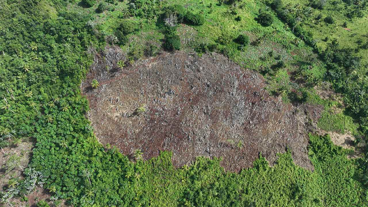 El impacto en el sur del área protegida es generalizado.