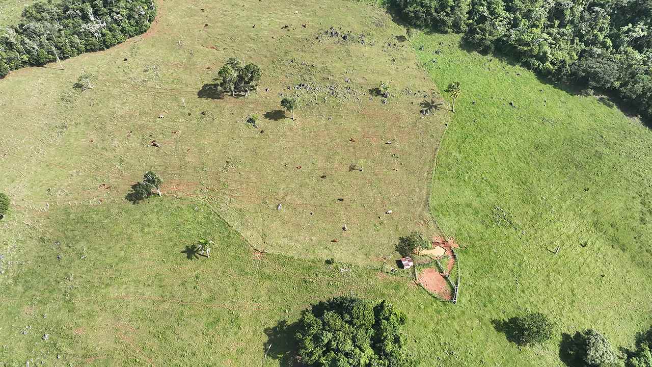 Construcciones y ganadería dentro del parque el 20 de diciembre de 2024.