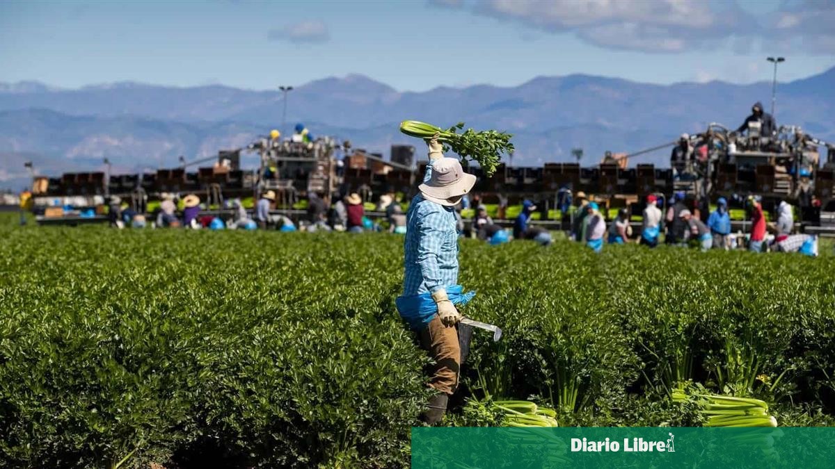 FAO: presión climática amenaza la lucha contra hambre en AL