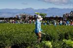 AL y el Caribe registra reducción continua en la prevalencia del hambre y la inseguridad alimentaria