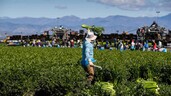 FAO: El cambio clim&aacute;tico amenaza con frenar la lucha contra el hambre en Latinoam&eacute;rica