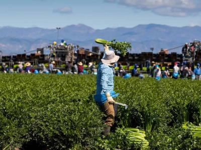 Donald Trump planea proteger a ciertos inmigrantes de expulsiones