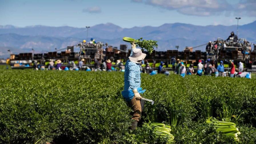 AL y el Caribe registra reducción continua en la prevalencia del hambre y la inseguridad alimentaria