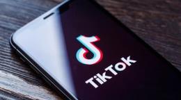 TikTok se lanza a los pódcast en video