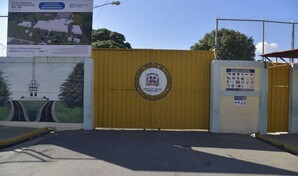 Prisi&oacute;n preventiva a mujer por maltratar a su hijo durante transmisi&oacute;n en vivo