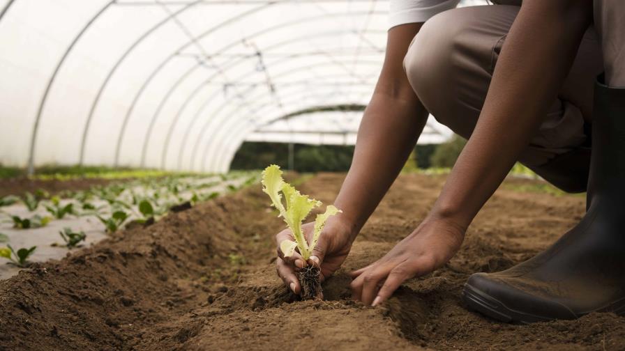 Los agricultores de países pobres tienen más impacto económico por las medidas climáticas