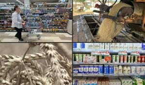 Los precios mundiales de los alimentos bajaron un 2 % en 2024, según la FAO