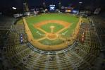 Los Tigres del Licey anuncian los precios de sus abonos para la temporada 2025-26