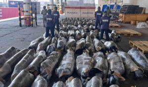 México incauta más de media tonelada de marihuana con destino a República Dominicana