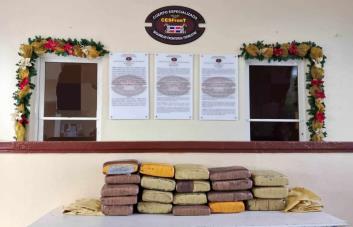 Militares decomisan en Elías Piña 200 libras de un vegetal que presumen es marihuana