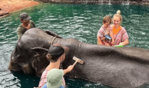 El baño con elefantes, la popular actividad turística tailandesa criticada por animalistas El baño con elefantes, la popular actividad turística tailandesa criticada por animalistas