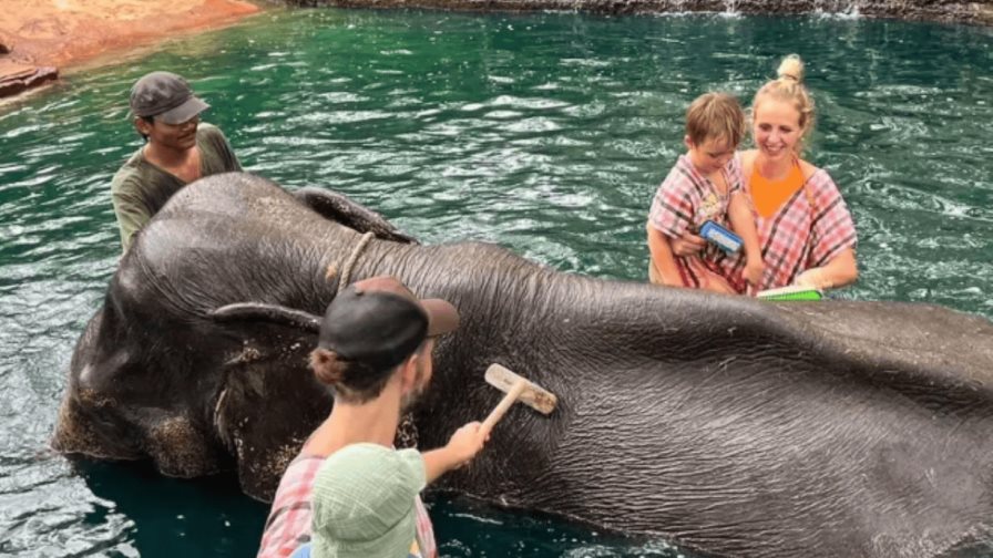 El baño con elefantes, la popular actividad turística tailandesa criticada por animalistas El baño con elefantes, la popular actividad turística tailandesa criticada por animalistas