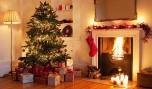 La agencia alimentaria de Bélgica pide no comer árboles de Navidad La agencia alimentaria de Bélgica pide no comer árboles de Navidad