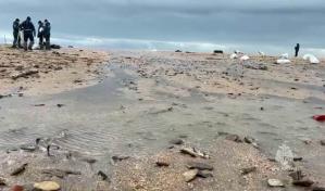 Rusia detecta nuevas manchas de petróleo en las playas de Crimea Rusia detecta nuevas manchas de petróleo en las playas de Crimea