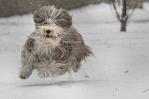 Sur de EE.UU. tirita bajo amenaza de nueva tormenta con nieve para Texas, Oklahoma y Arkansas Sur de EE.UU. tirita bajo amenaza de nueva tormenta con nieve para Texas, Oklahoma y Arkansas