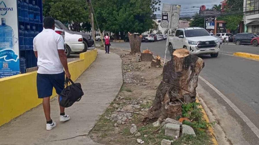 Santiago: Denuncian tala de árboles y arrabalización por parte de los propietarios de tienda china