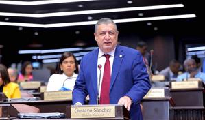 PLD cuestiona rapidez con que diputados aprobaron deuda por m&aacute;s de RD$401 mil MM