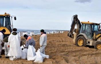 Hallan primeros delfines muertos en Crimea debido al vertido de petróleo