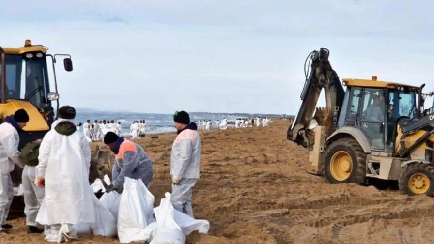 Hallan primeros delfines muertos en Crimea debido al vertido de petróleo